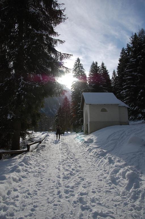Appartamenti Welcome In Val Di Sole Casa Orti Ossana Exterior photo